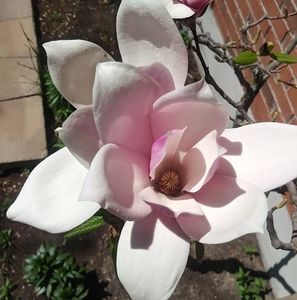 Meet your Posher, Pina